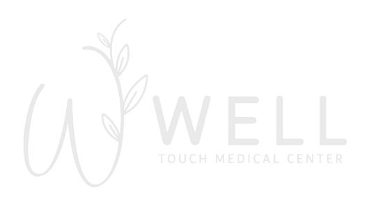 well touch logo